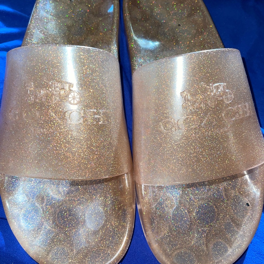 Golden Coach Slide